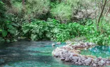 Este es el espacio histórico natural donde se encuentra uno de los ríos más hermosos de Tamaulipas