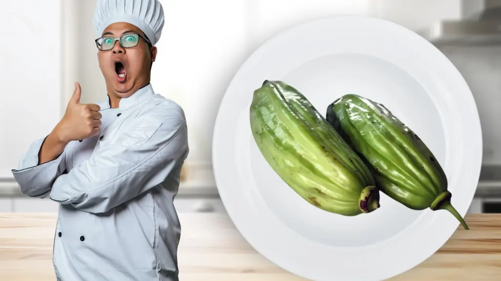 Pepino kat: el secreto maya mejor guardado contra el calor extremo en Yucatán