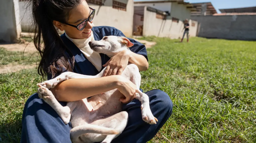 Petco llama a la adopción responsable en el marco del Día mundial del perro