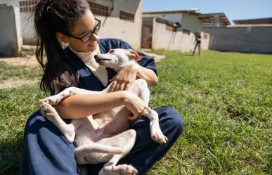 Petco llama a la adopción responsable en el marco del Día mundial del perro