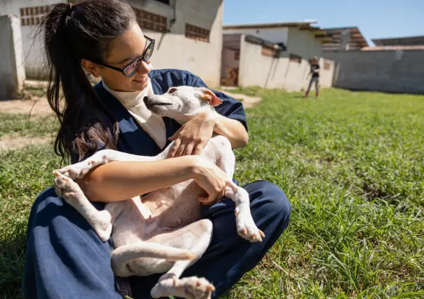 Petco llama a la adopción responsable en el marco del Día mundial del perro