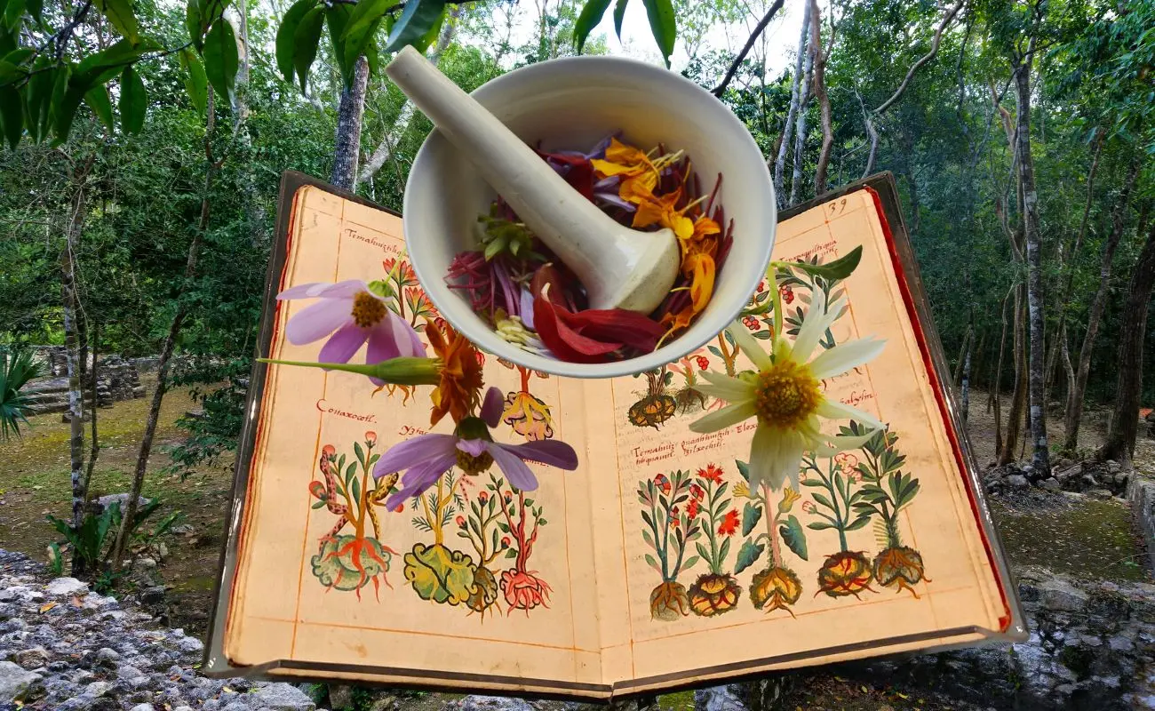 ¿Cuál es la importancia de la medicina tradicional maya en Yucatán? Foto: Canva | INAH