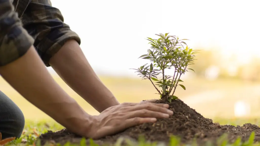 Curso de verano ecológico en Saltillo, ¿cómo participar?