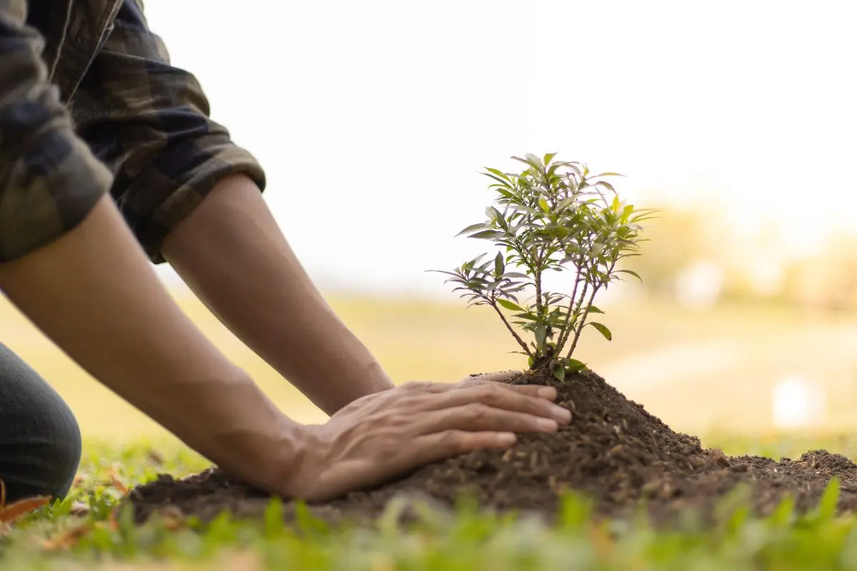 Curso de verano ecológico. Foto de canva.