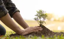 Curso de verano ecológico en Saltillo, ¿cómo participar?