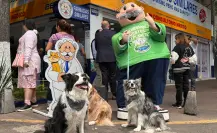 Dr. Simi abrirá 5 veterinarias en Edomex: conoce la ubicación exacta de las 5 nuevas Simi Pet Care