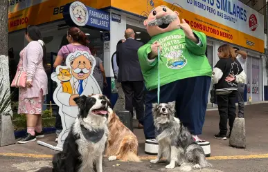 Dr. Simi abrirá 5 veterinarias en Edomex: conoce la ubicación exacta de las 5 nuevas Simi Pet Care
