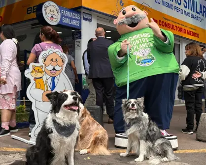 Dr. Simi abrirá 5 veterinarias en Edomex: conoce la ubicación exacta de las 5 nuevas Simi Pet Care