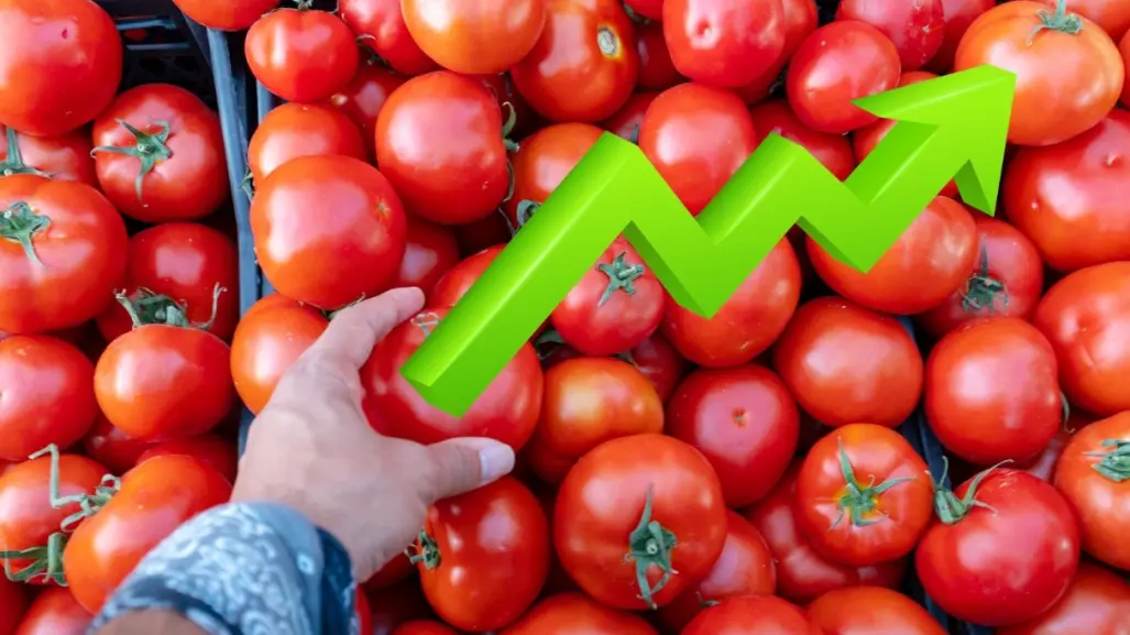 Aranceles modifican precio del tomate: ¿Qué tanto ha cambiado en Nuevo León?