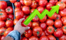 Aranceles modifican precio del tomate: ¿Qué tanto ha cambiado en Nuevo León?