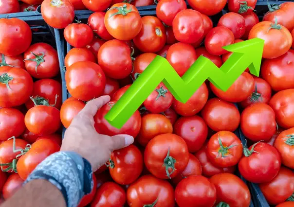 Aranceles modifican precio del tomate: ¿Qué tanto ha cambiado en Nuevo León?