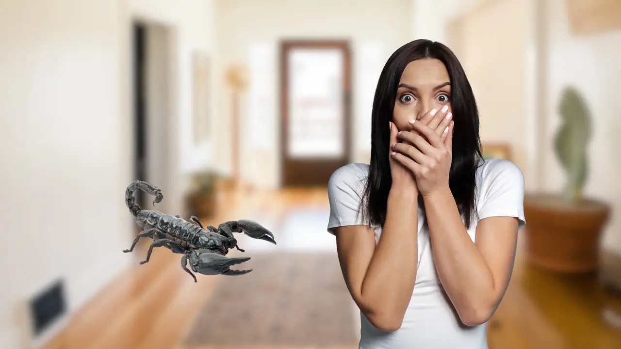 Una mujer asustada por un alacrán en su casa. Foto: Canva
