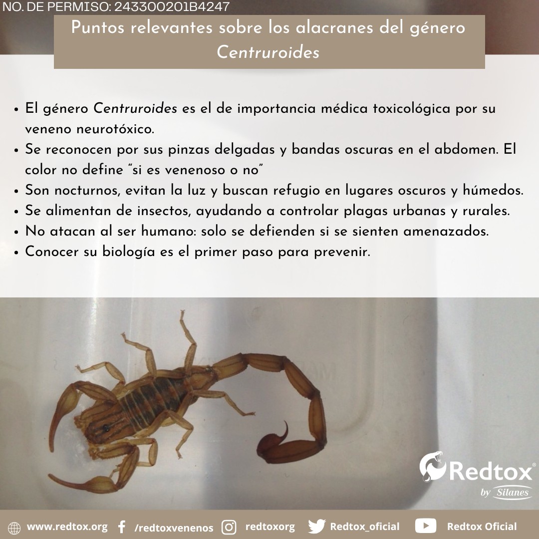 imagen-cuerpo imagen-cuerpo