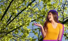 El árbol nativo de Durango que, según la creencia popular, tiembla con el viento