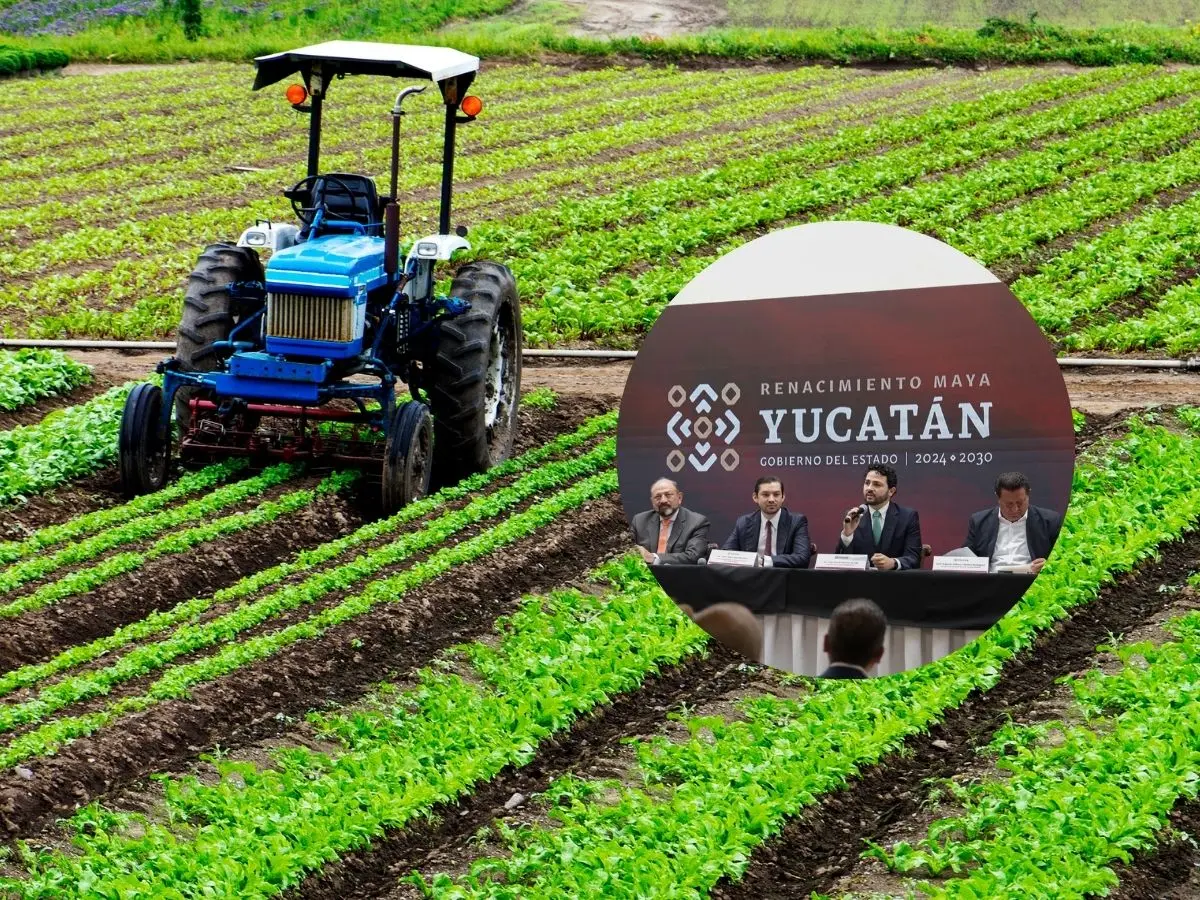 Del 23 al 25 de octubre se realizará por primera vez en Yucatán la Expo Pro Agro Innovación que busca fortalecer el sector impulsando la innovación, la inversión y la transferencia de tecnología.- Fuente Gobierno del Estado