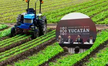 Yucatán, sede por primera vez de la Expo Pro Agro Innovación