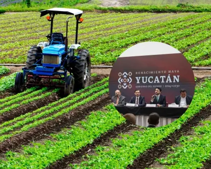 Yucatán, sede por primera vez de la Expo Pro Agro Innovación