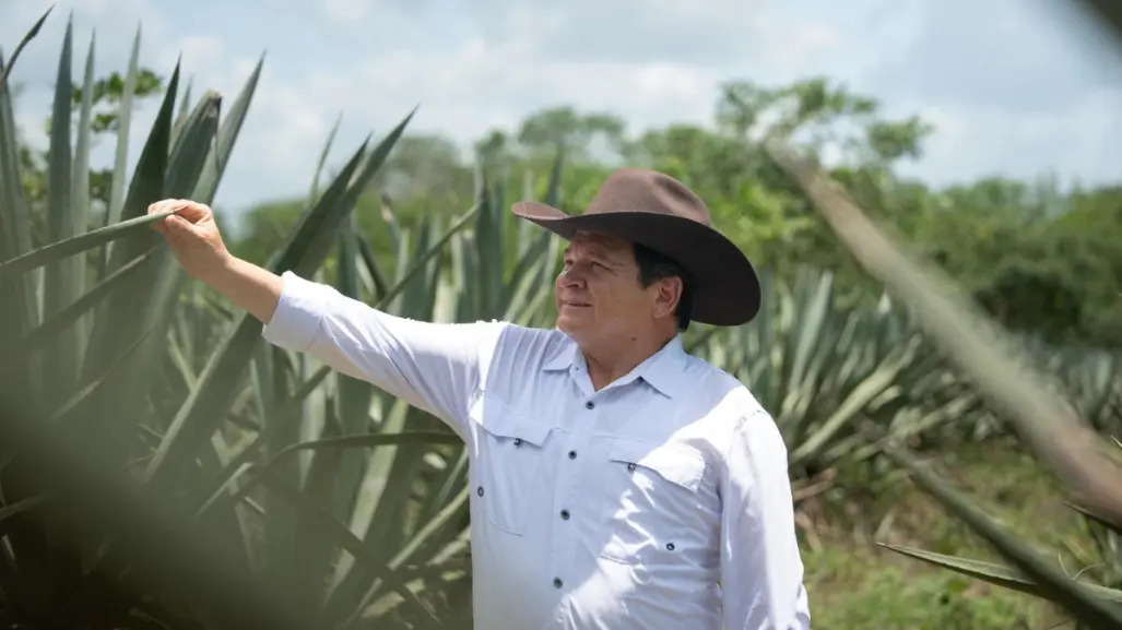 Gobierno de Yucatán destina más de 3 mdp para el rescate del henequén
