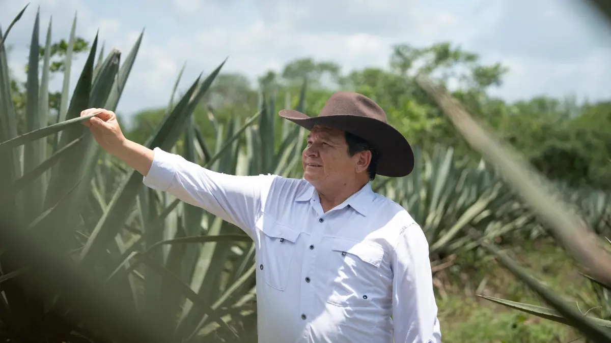 Cada productor de henequén recibe 2 mil 500 pesos por hectárea Foto: Gobierno de Yucatán