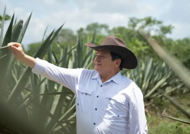 Gobierno de Yucatán destina más de 3 mdp para el rescate del henequén