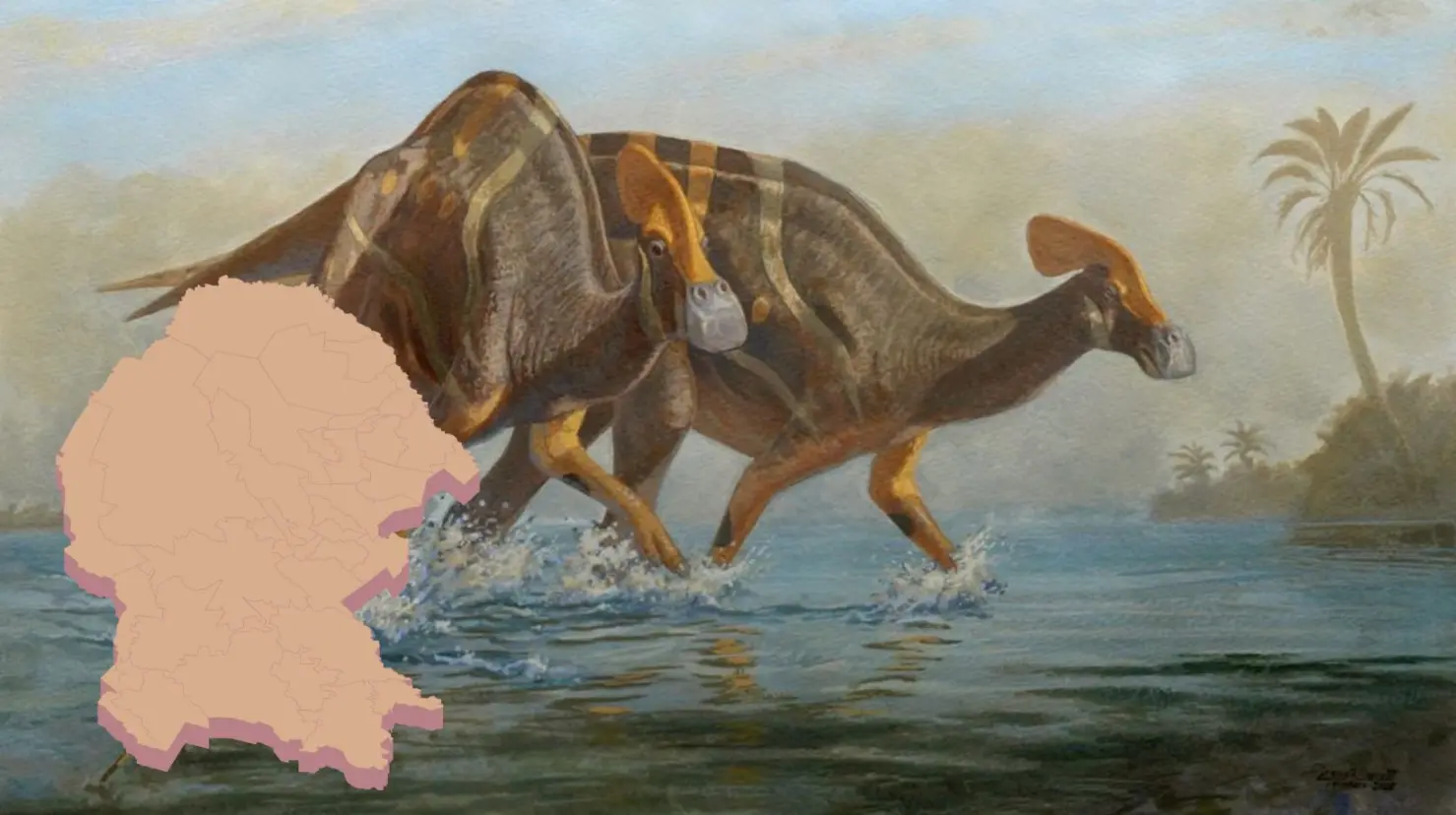 El descubrimiento de Isauria abrió el camino para un mayor interés en la paleontología. (Fotografía: IMER)