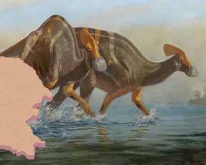 ¿Quién fue Isauria? El misterioso dinosaurio mexicano encontrado en Coahuila