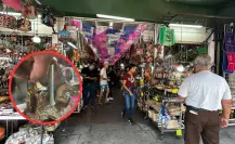 Mercado Gómez Palacio se beneficia con la llegada de paisanos a Durango