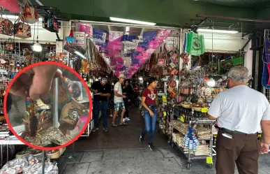 Mercado Gómez Palacio se beneficia con la llegada de paisanos a Durango