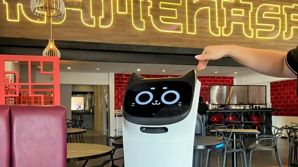Conoce a Misu, la gatita robot que sirve ramen en este restaurante de Escobedo