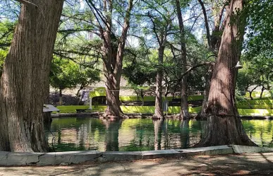 El oasis con gran sombra que está escondido y a 2 horas de Monterrey