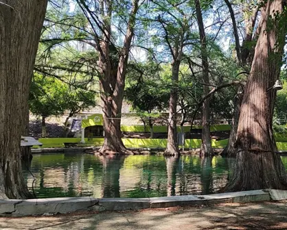 El oasis con gran sombra que está escondido y a 2 horas de Monterrey