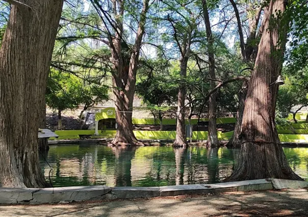 El oasis con gran sombra que está escondido y a 2 horas de Monterrey