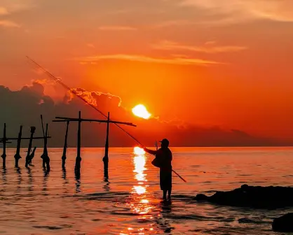 Pesca desde la playa: 5 puntos en BCS donde no necesitas lancha ni guía