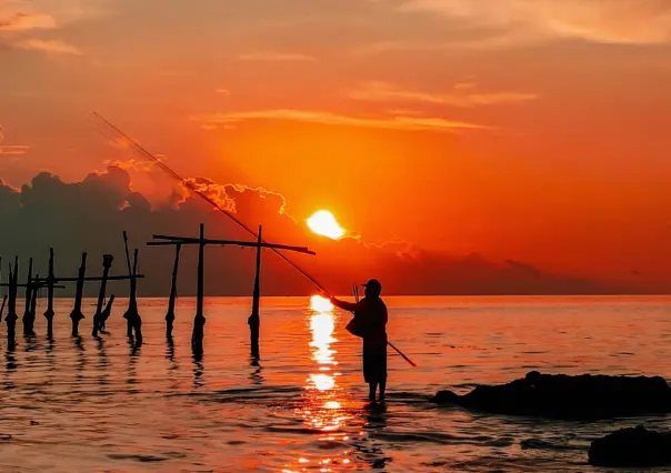 Pesca desde la playa: 5 puntos en BCS donde no necesitas lancha ni guía