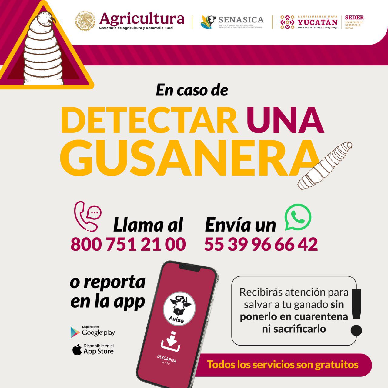 imagen-cuerpo