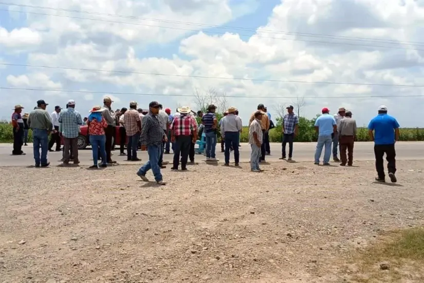 Los productores de sorgo de Tamaulipas exigen a las autoridades garantías en la comercialización del grano. Foto: Carlos García