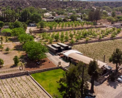 El mítico pueblo oculto a 3 horas de CDMX con ruta de vinos y maridaje ideal para este fin de semana