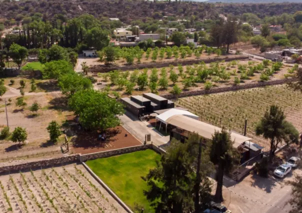 El mítico pueblo oculto a 3 horas de CDMX con ruta de vinos y maridaje ideal para este fin de semana