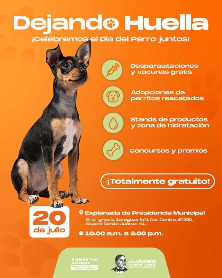 imagen-cuerpo imagen-cuerpo