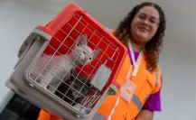 Alcalde Félix Arratia invita a jornada Dejando Huella por el bienestar animal