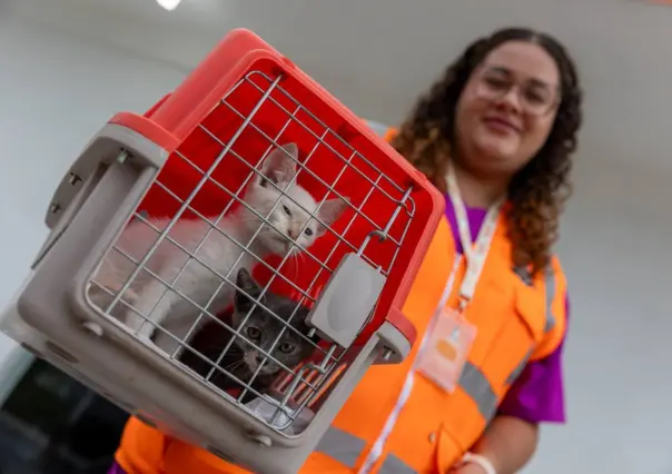 Alcalde Félix Arratia invita a jornada Dejando Huella por el bienestar animal