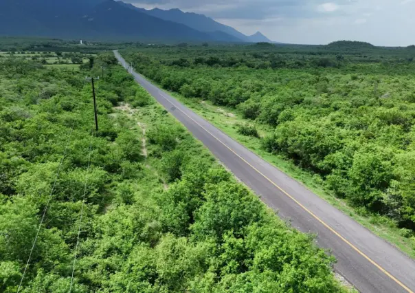 Esta carretera te lleva uno de los santuarios religiosos más querido por los tamaulipecos