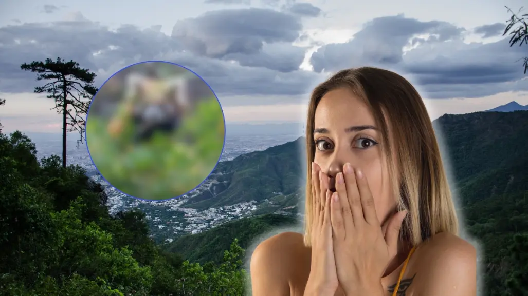 Descubre al guardián oculto de la Sierra Madre de Nuevo León