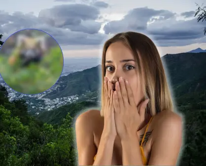 Descubre al guardián oculto de la Sierra Madre de Nuevo León