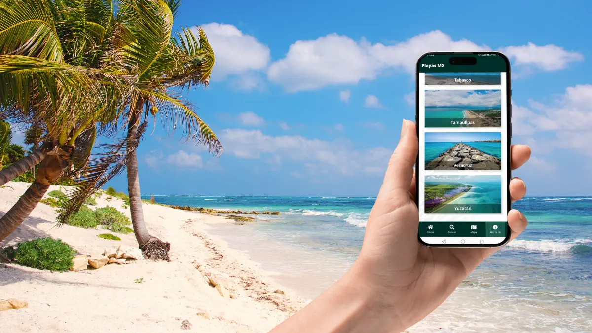 La app Playas Mx está disponible en dispositivos iOS y Android Foto: Canva/Alexis Lara