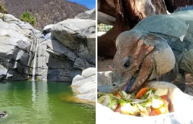 Lugares escondidos en BCS que pocos visitan pero están en Google Maps