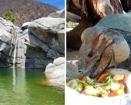 Lugares escondidos en BCS que pocos visitan pero están en Google Maps