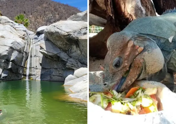Lugares escondidos en BCS que pocos visitan pero están en Google Maps