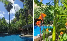 Vacaciones en BCS: refréscate en este paraíso de agua azul turquesa a menos de 2 horas de La Paz