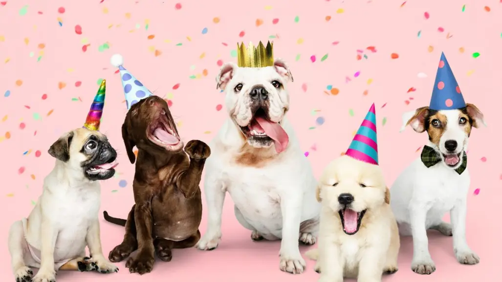 Día Mundial del Perro: así es como municipios de Nuevo León lo van a celebrar